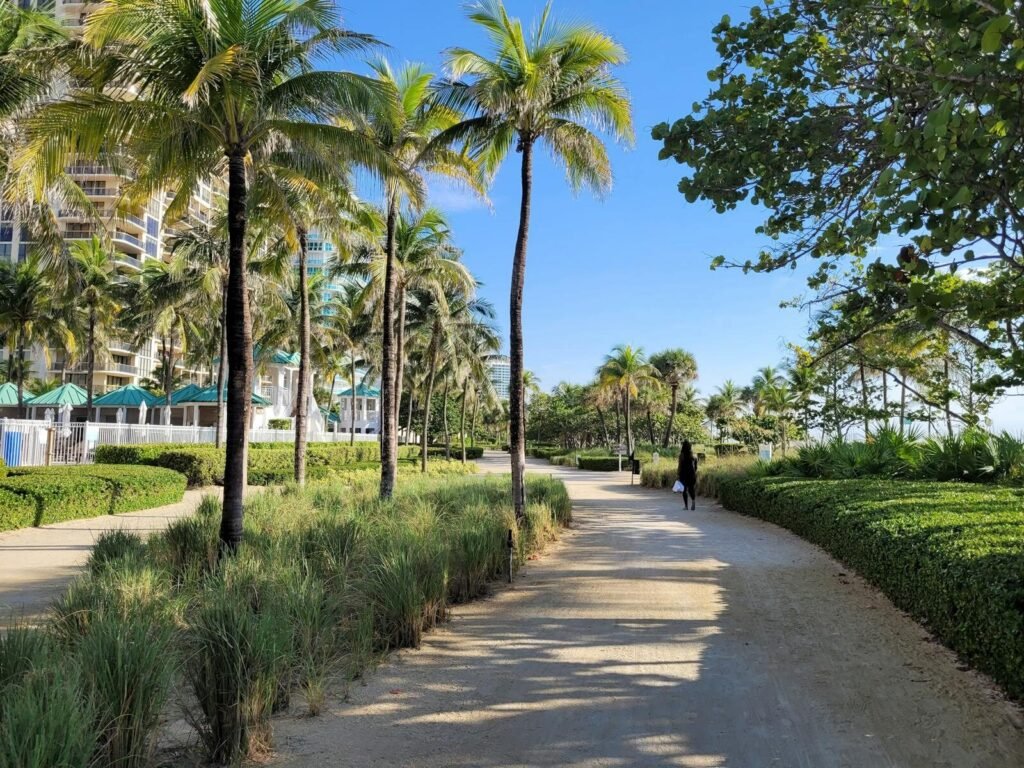 A picturesque path lined with palm trees near a beachside resort on a sunny day.
