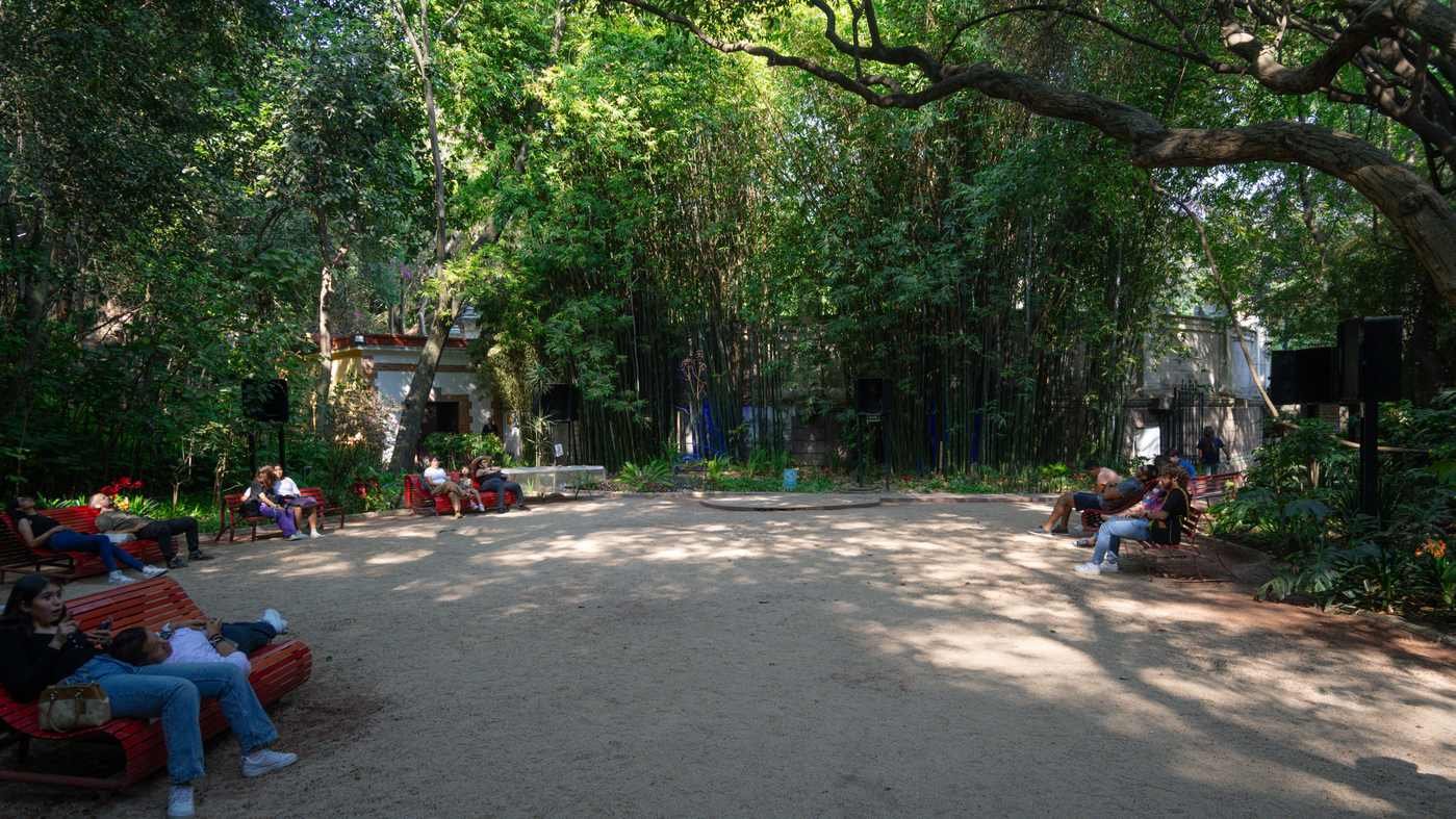 El santuario verde del Audiorama en el Bosque de Chapultepec con sus clásicas bancas de lectura y árboles frondosos.