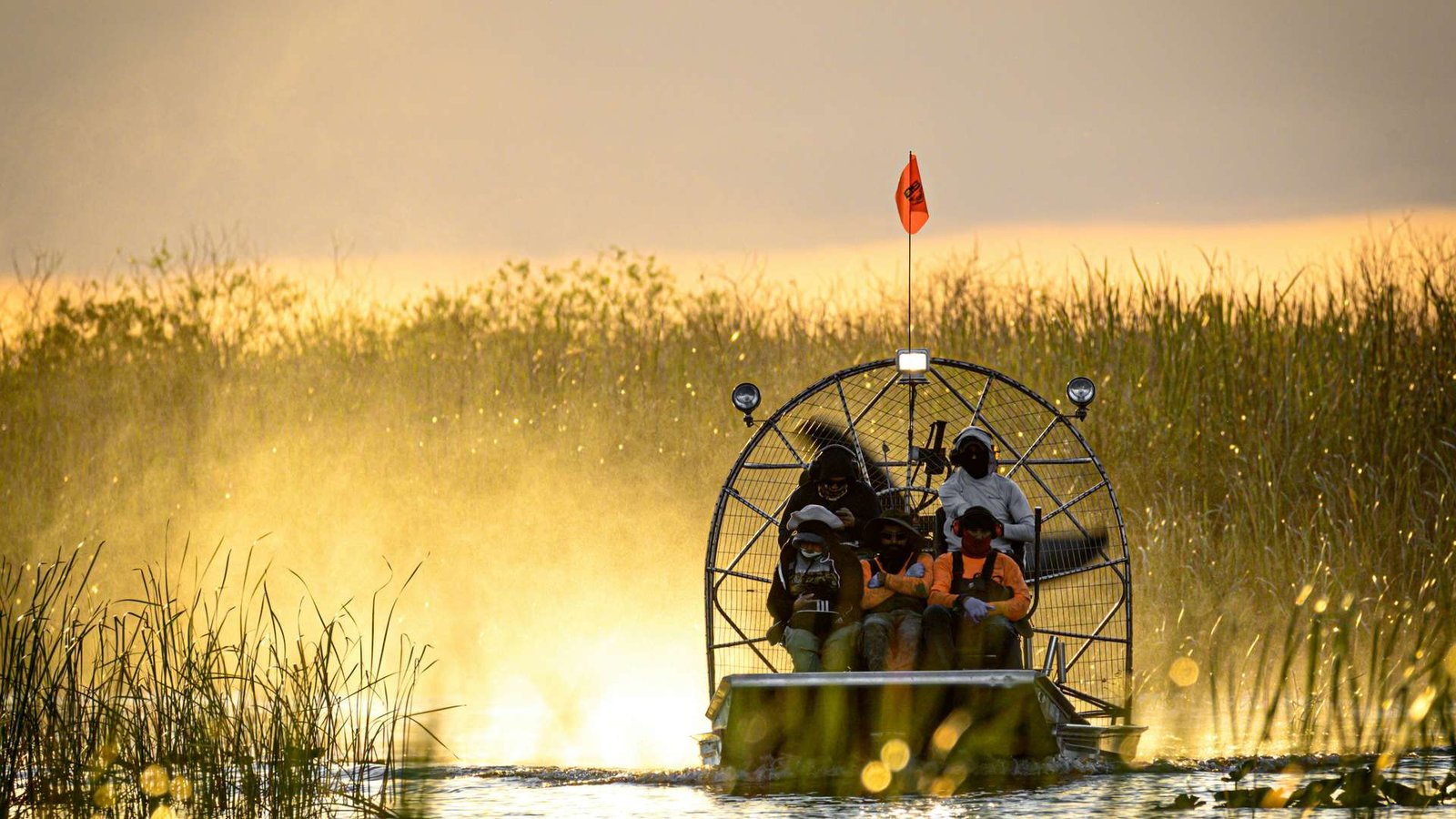 Un aerodeslizador cruzando a toda velocidad los canales dorados de los Everglades bajo un espectacular cielo encendido al atardecer.