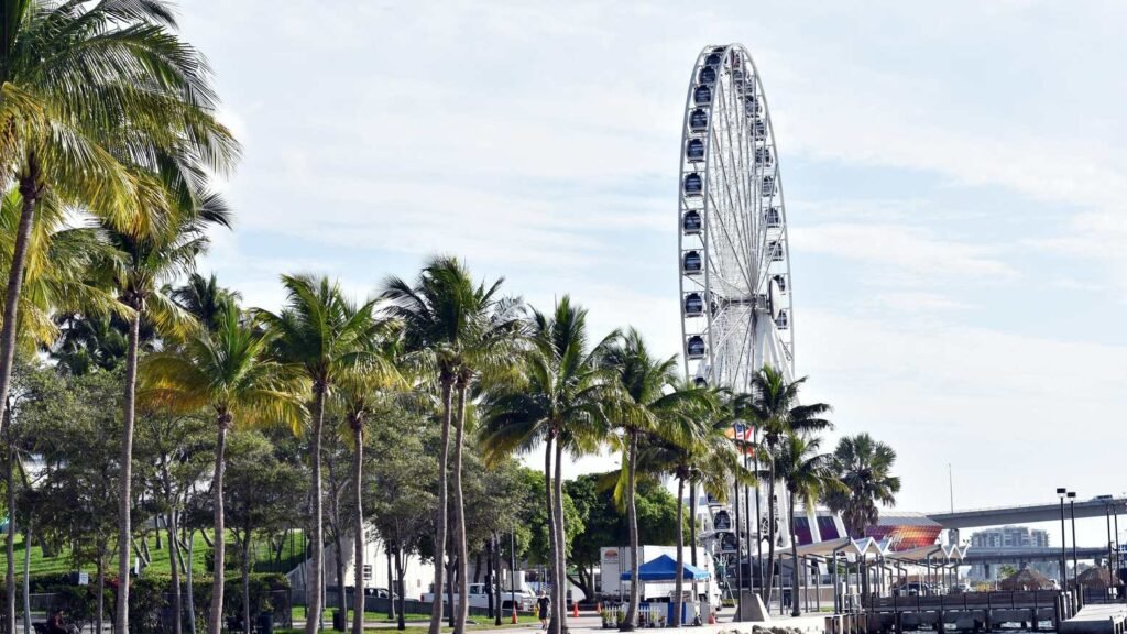 Vistas despejadas al manglar costero y las tranquilas aguas de la bahía de Biscayne desde el césped de Alice Wainwright Park.