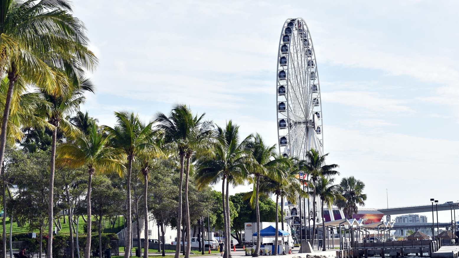 Zona verde y palmeras frente a la gigantesca pantalla de proyección del New World Center en SoundScape Park, Miami Beach.